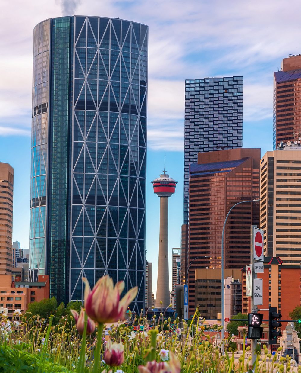 Digital Marketing Agency Calgary
