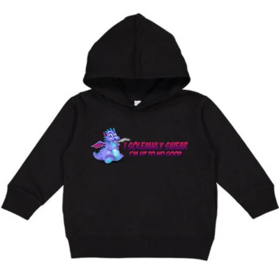 Pullover Fleece Hoodie - Up To No Good